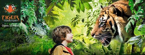 Zoological Society of London, Tiger Territory